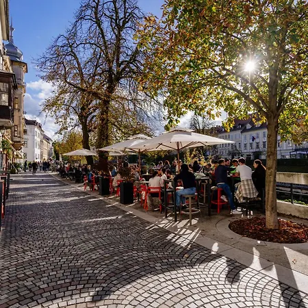 Ella's River דירה *