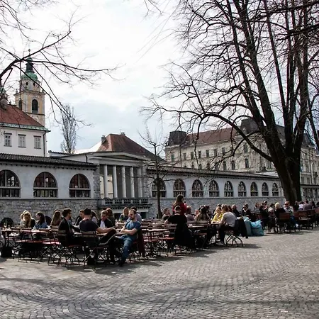 Ella's River Любляна